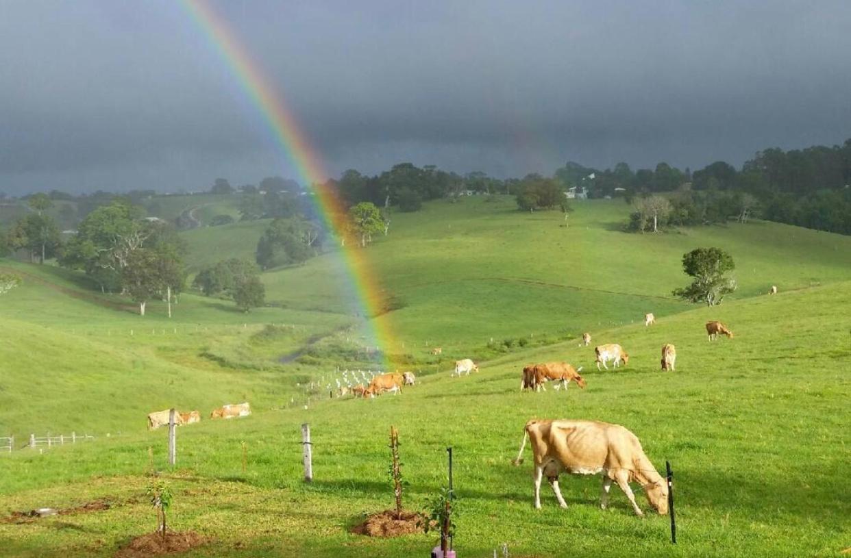 Maleny Monet Studio 外观 照片